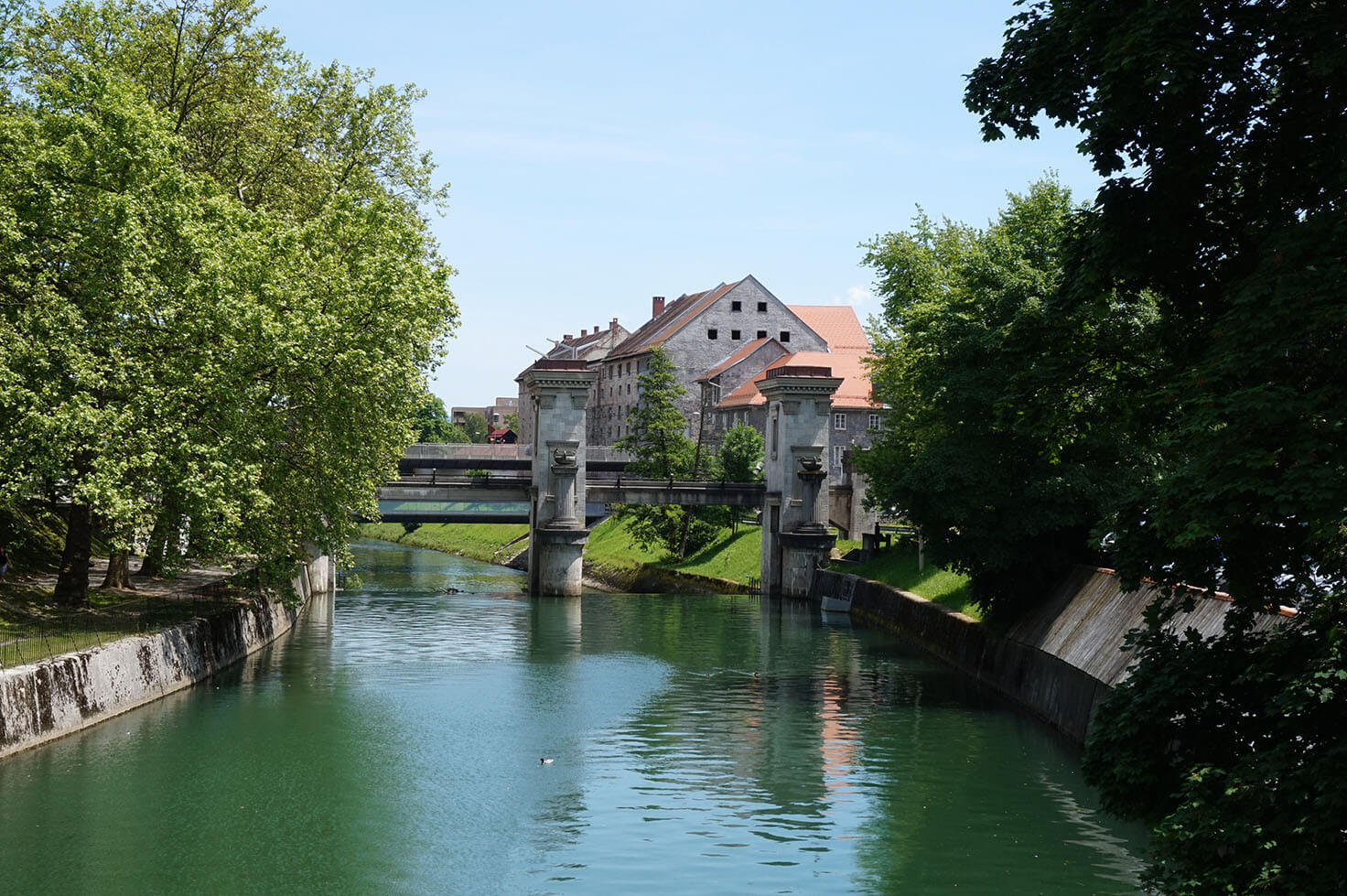 cosas que hacer en Liubliana - bike along the river