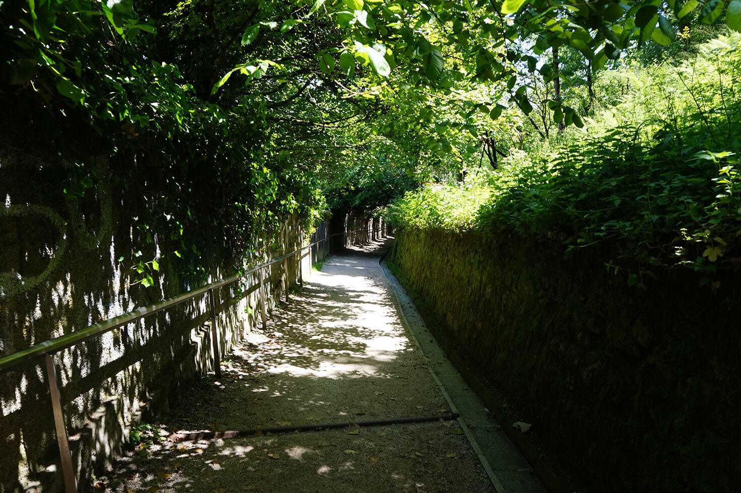 Path of Remembrance and Comradeship