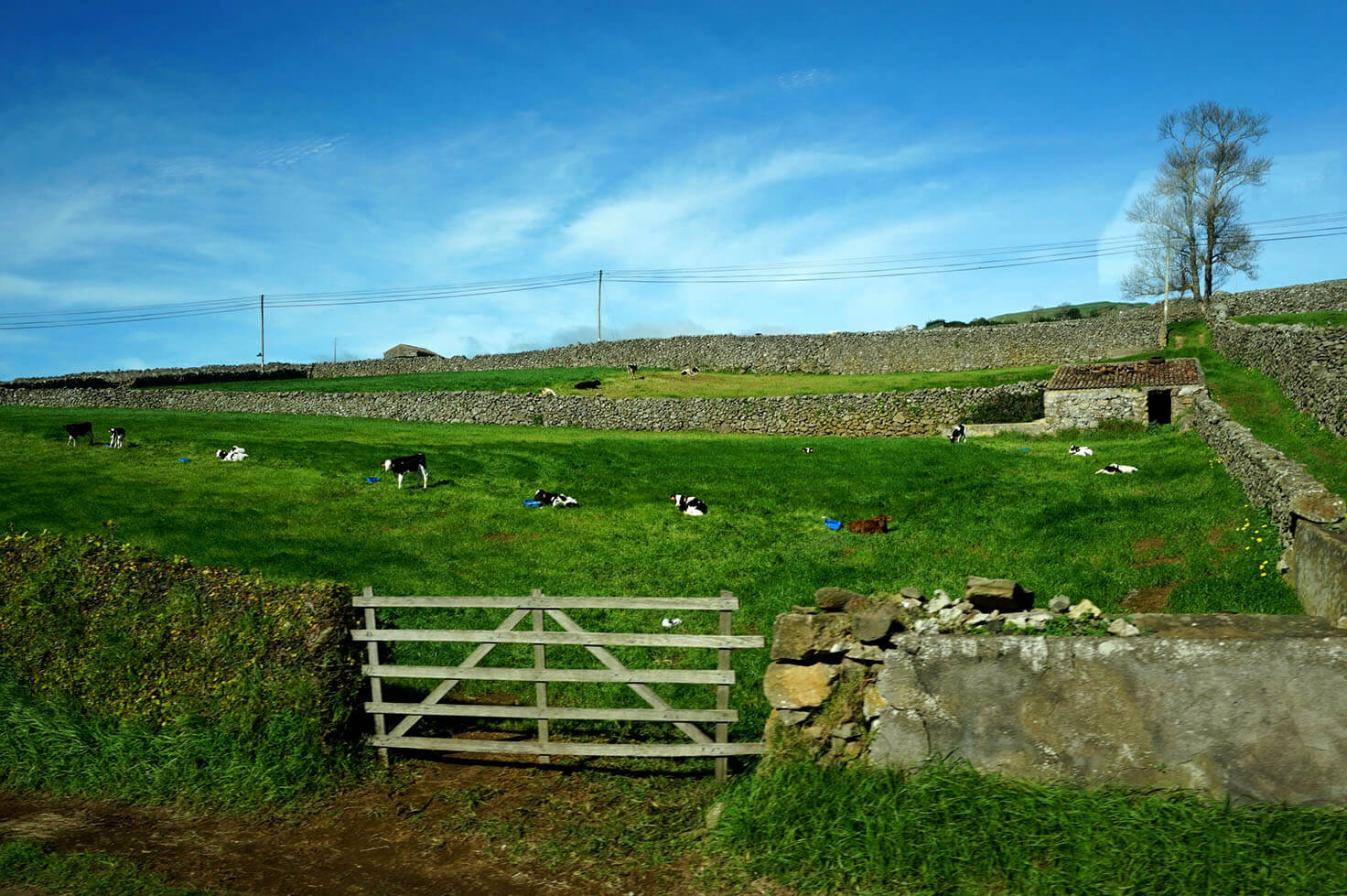 Azores in winter - Around the island