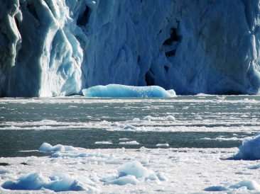 Icebergs floating in Los Glaciares National Park