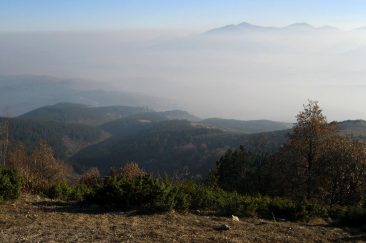 Vodno Mountain