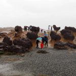 Day Trips from Taipei - Yehliu Geopark