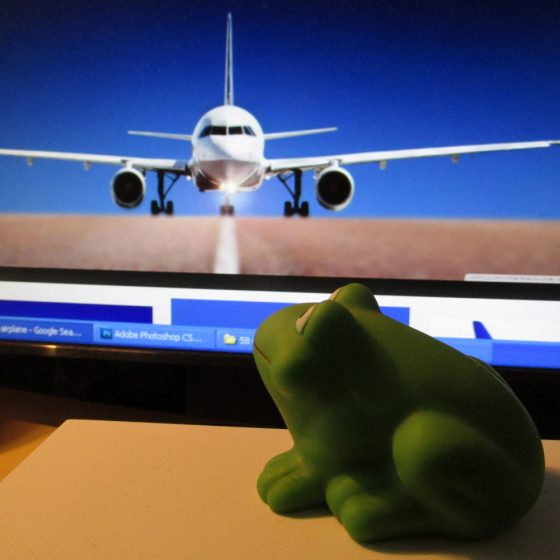 A frog and a plane