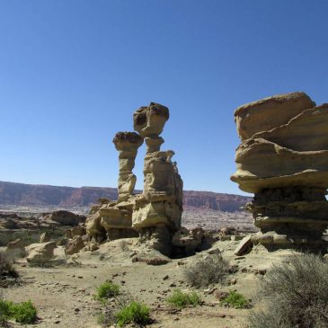 Talampaya and Ischigualasto