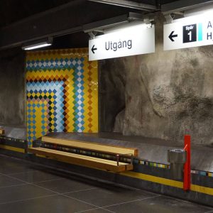Västra skogen Station Art