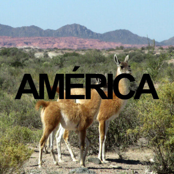 AMERICA español Destinations