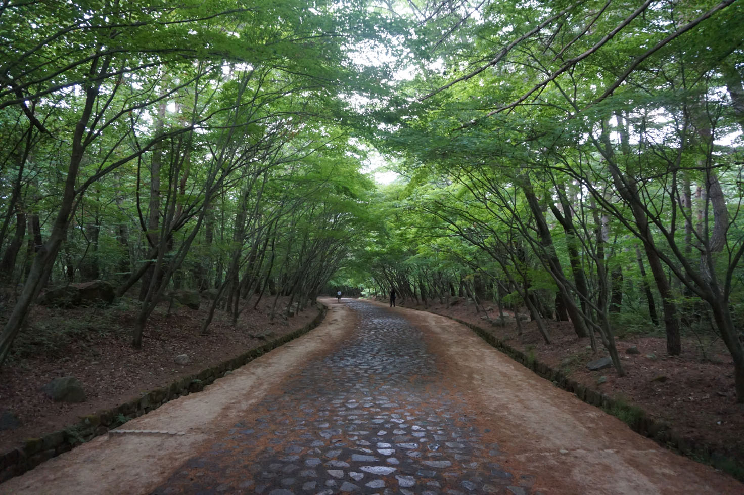 Road leading to Seokguram Grotto