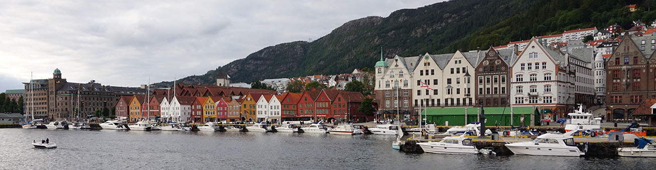 Norway banner