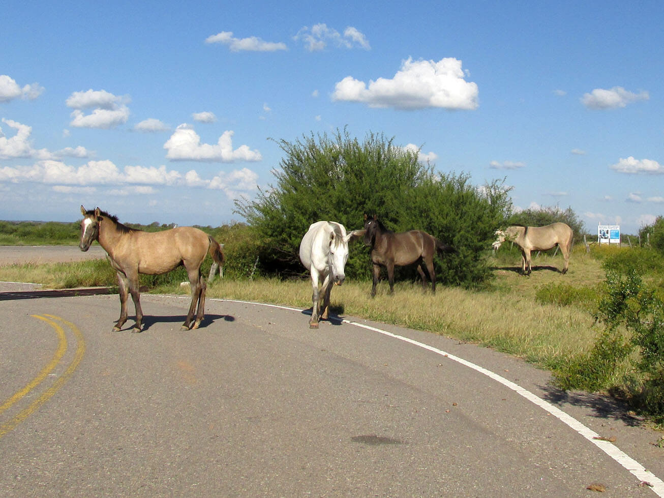 How to Get to San Luis