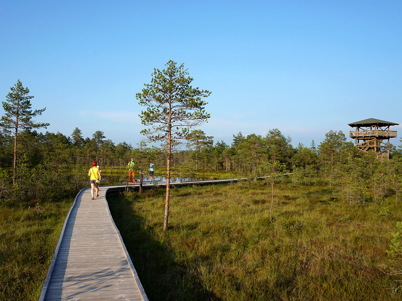 Lahemaa Hiking Paths