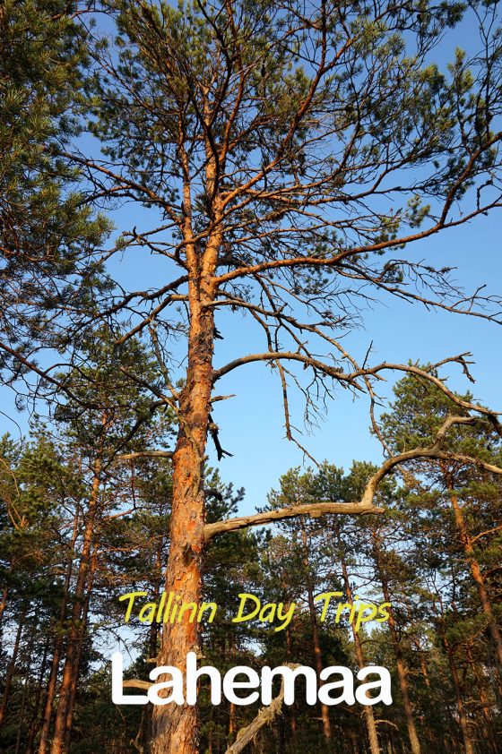 Tallinn Day Trips
