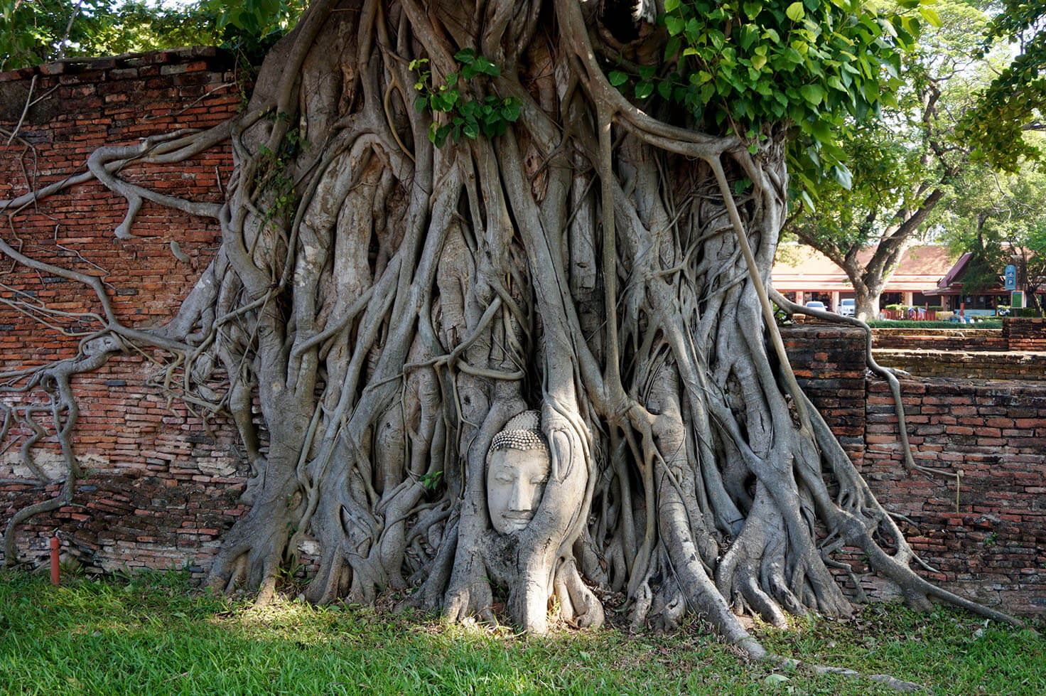 Where to Stay in Ayutthaya