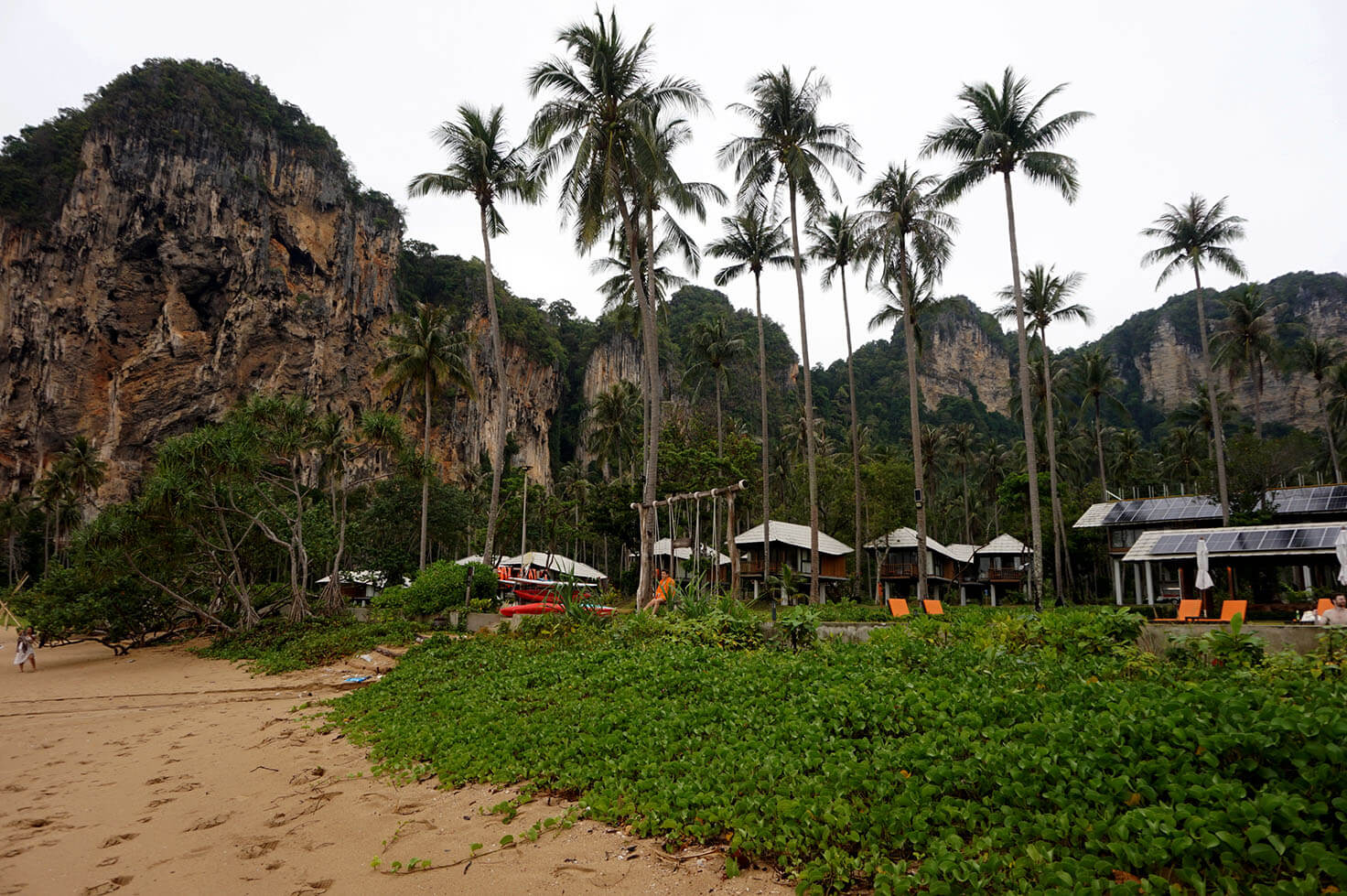Tonsai Beach Hotel