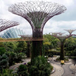 Gardens by the Bay Singapore