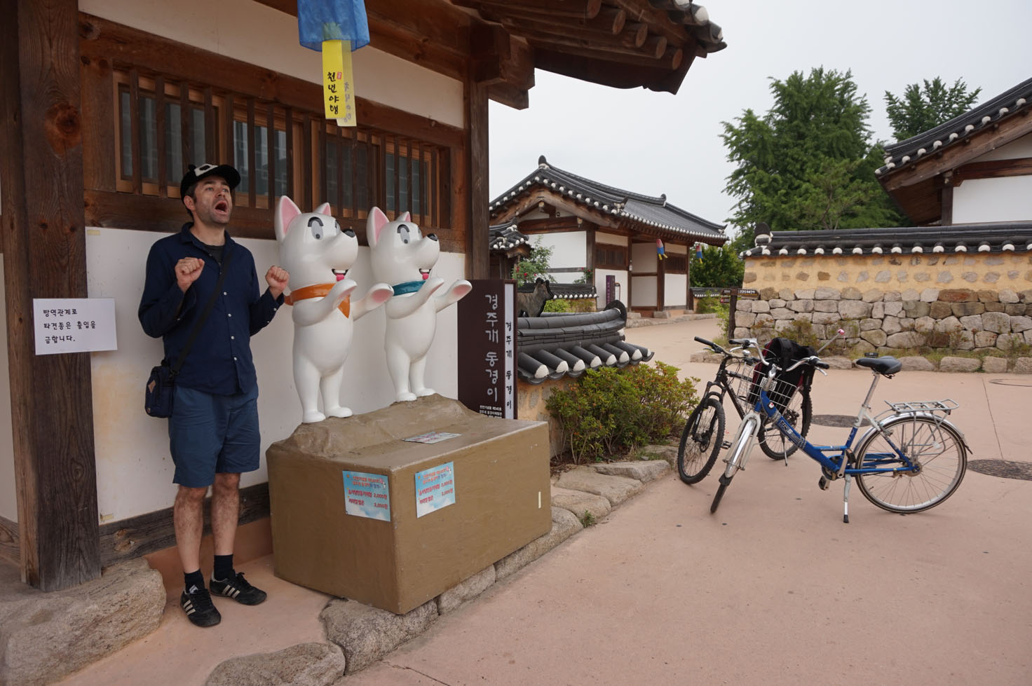 Korean houses