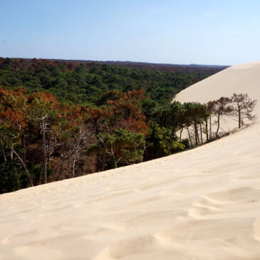 Dune du Pilat