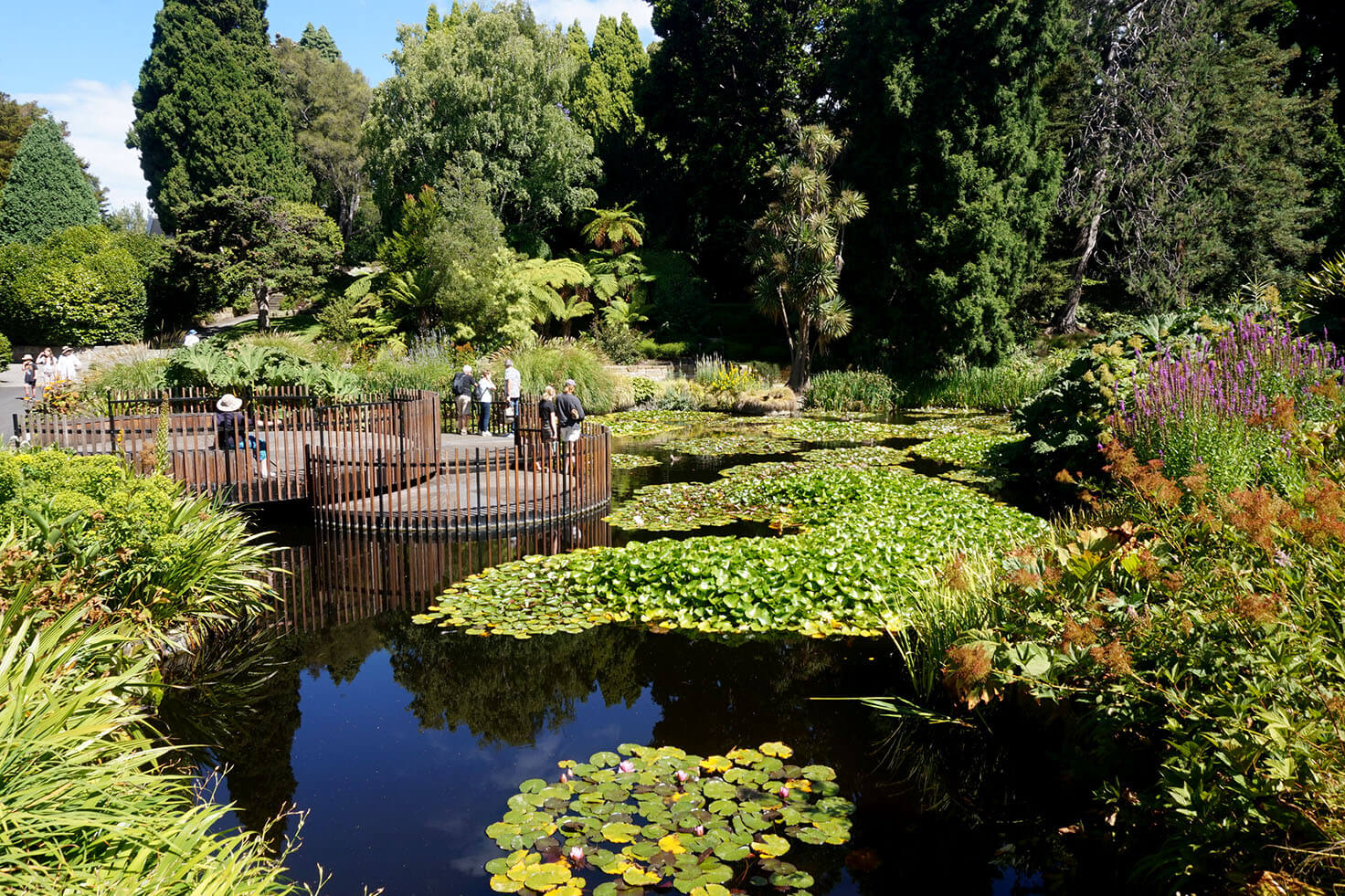 Hobart Botanical Gardens