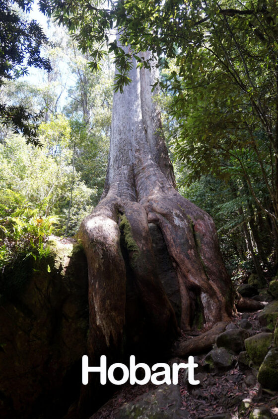 Launceston or Hobart