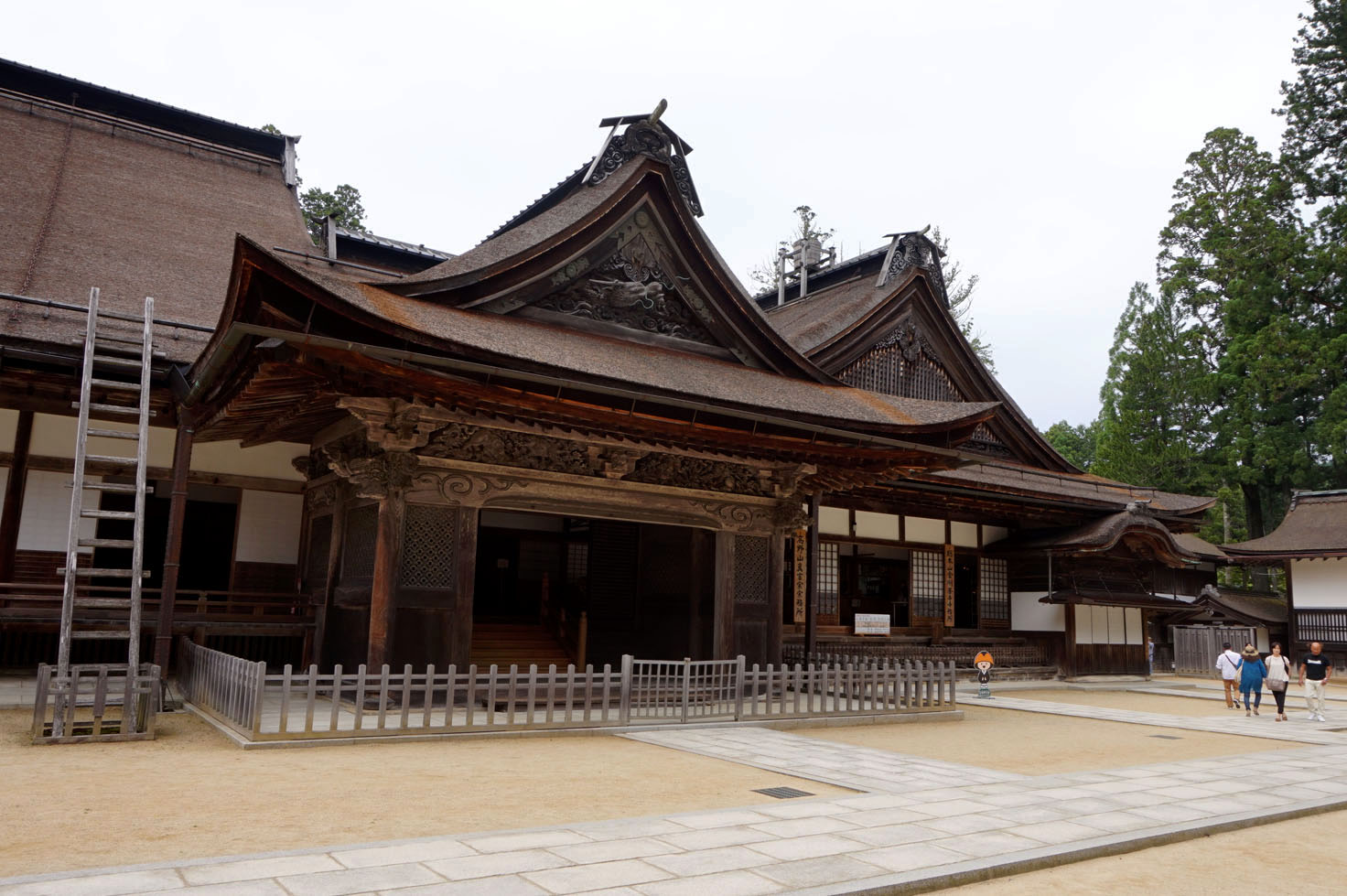 Mount Koya