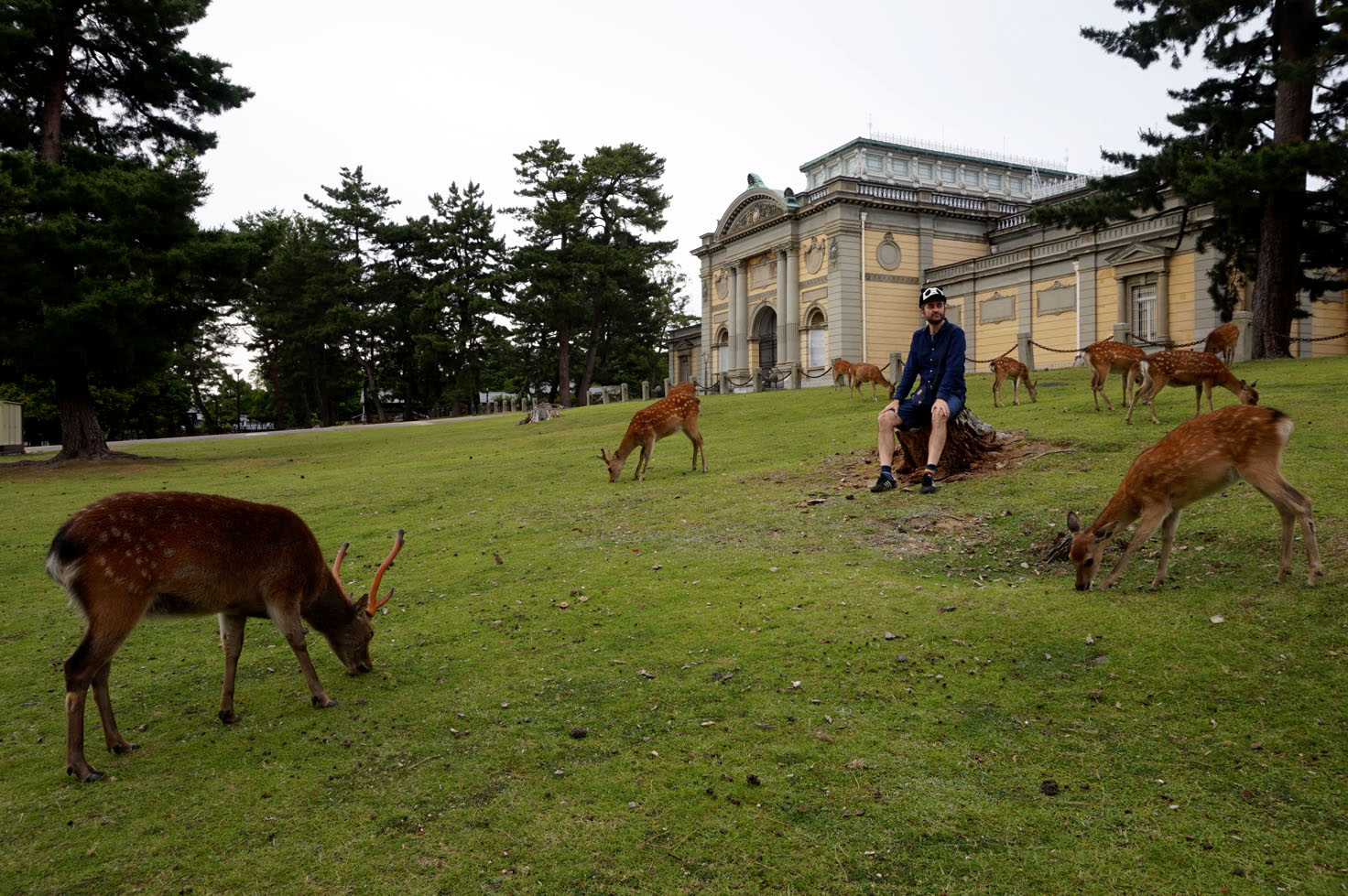 Nara