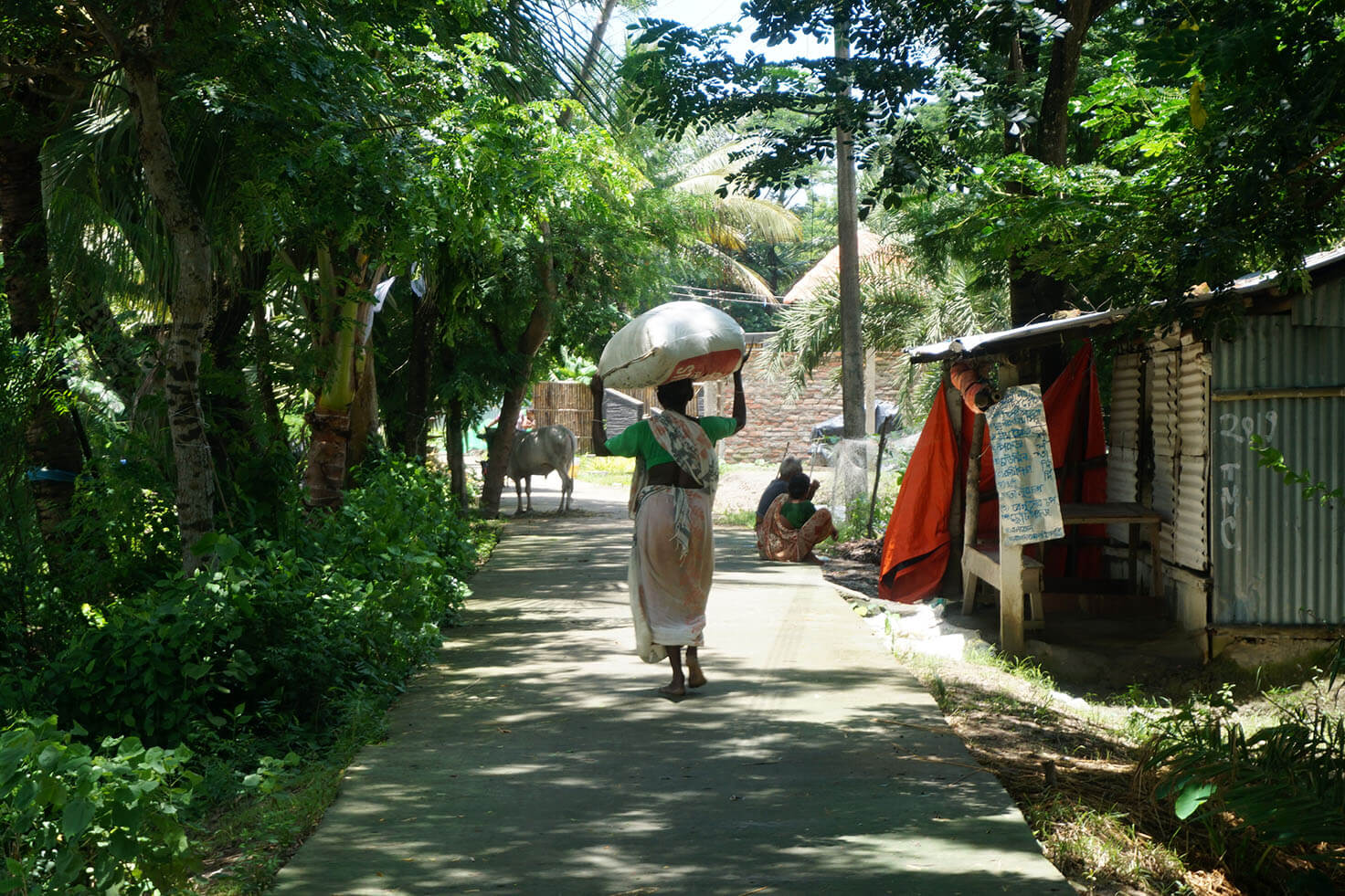 Road in Gosaba