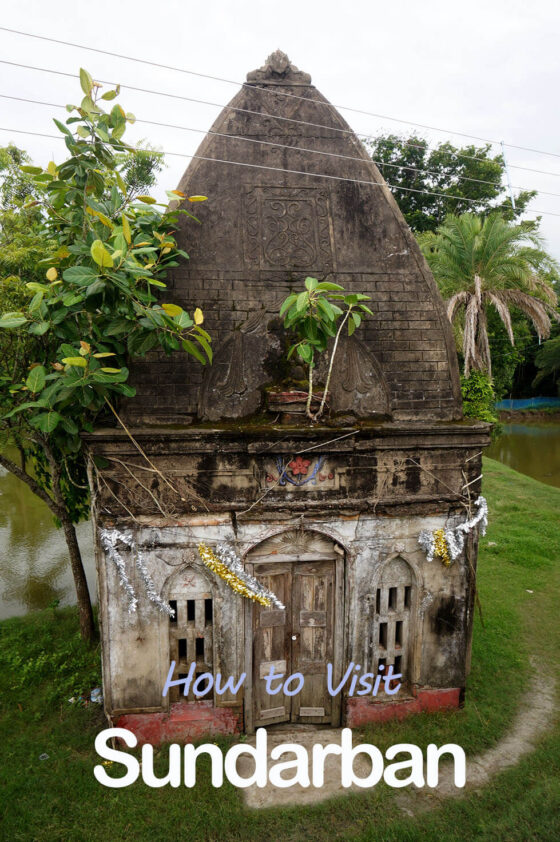 Sundarban National Park 