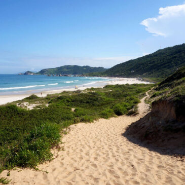 Mole Beach