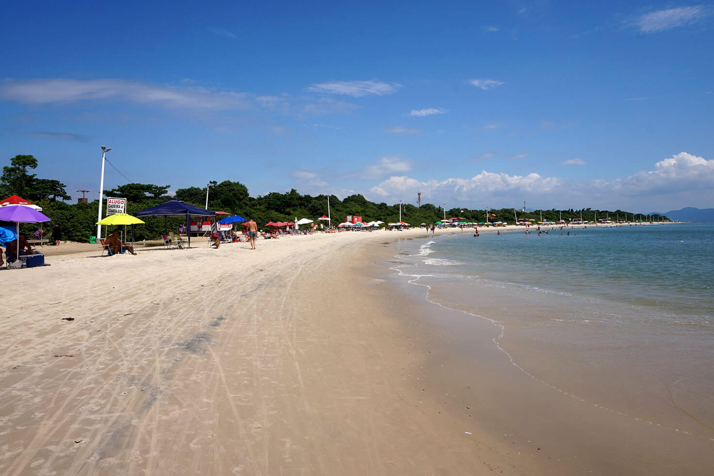 Daniela Beach