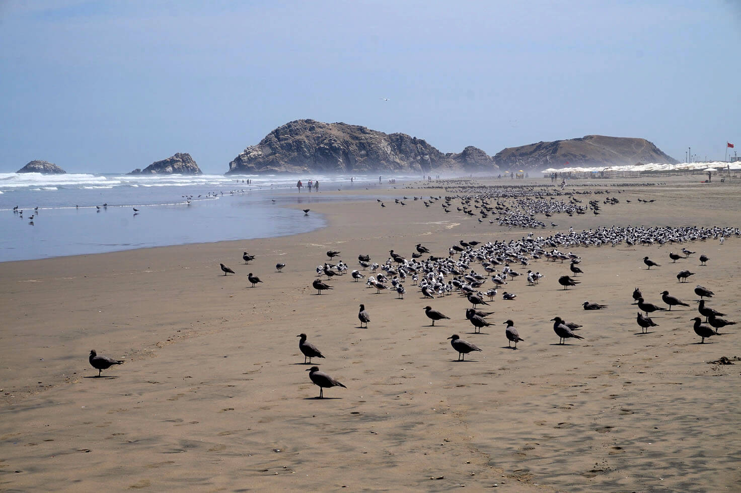 Beach near Lima