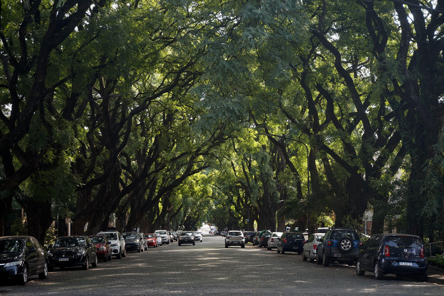 Avenida Alvear